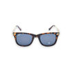 Picture of ZIPPO SUNGLASSES BROWN